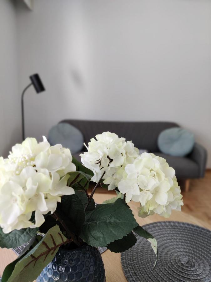 Niinivaara Apartment Saunallinen Ja Ilmastoitu Majoitus Γιόενσου Εξωτερικό φωτογραφία